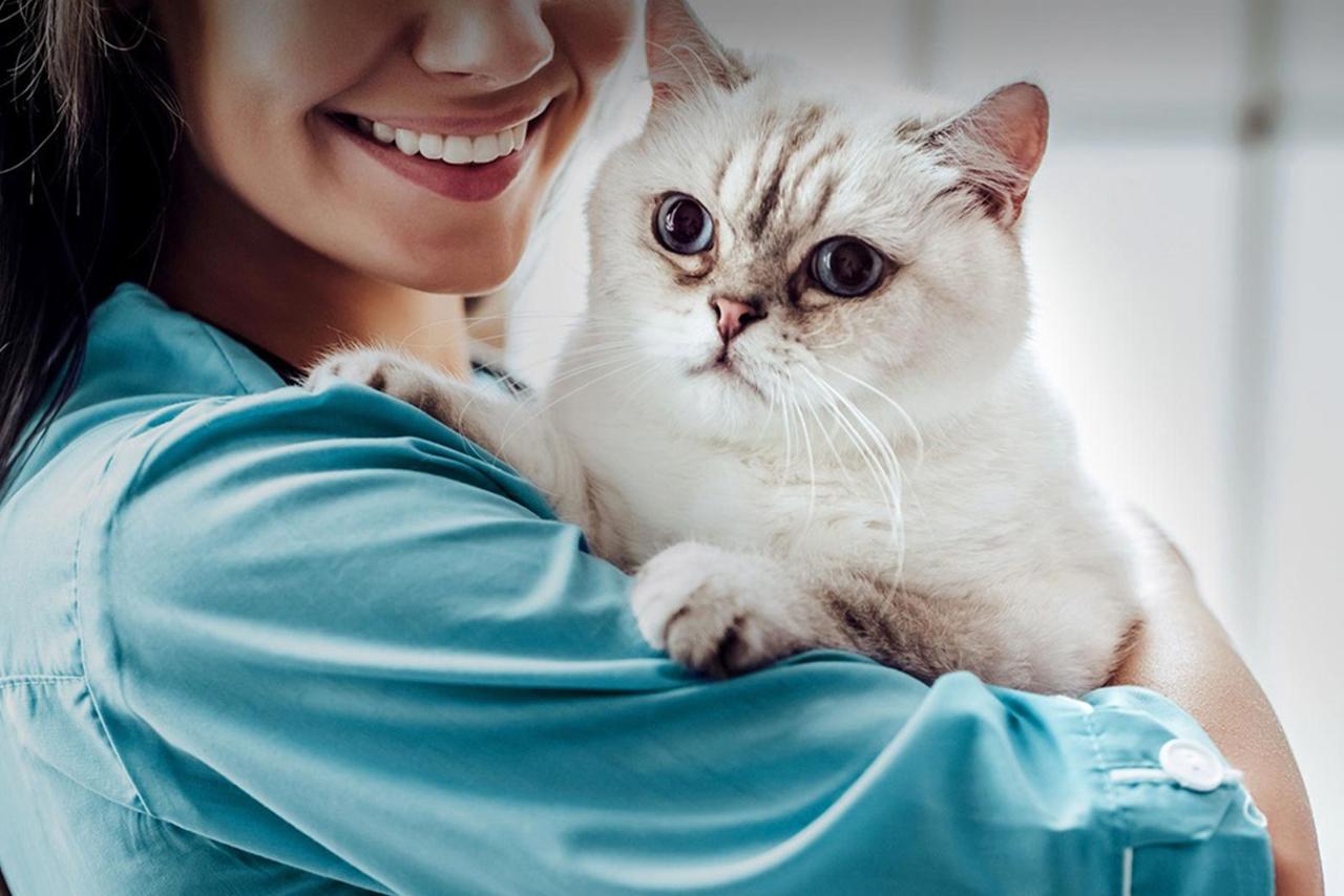 Veterinarian smiling while holding cat