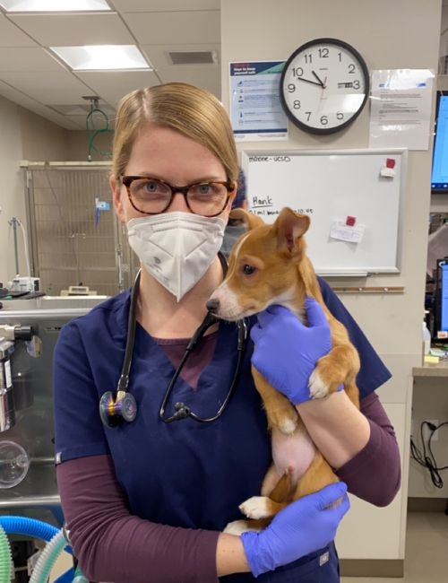 A woman in scrubs cradles a dog in a hospital