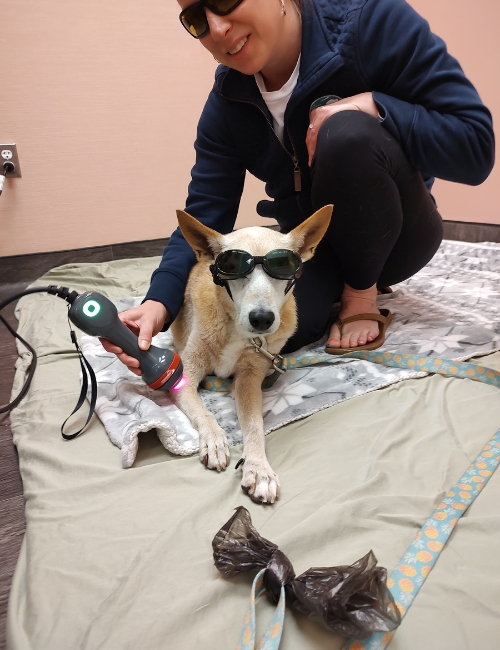 A woman in sunglasses sits beside a dog