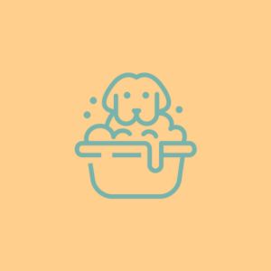 Grooming Form Icon
