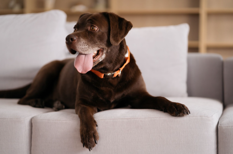 Screenshot 2026-02-26 at 9.07.44 AM